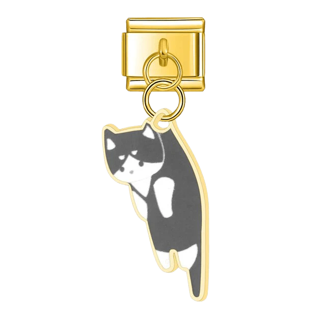 Dangling Tuxedo Kitten