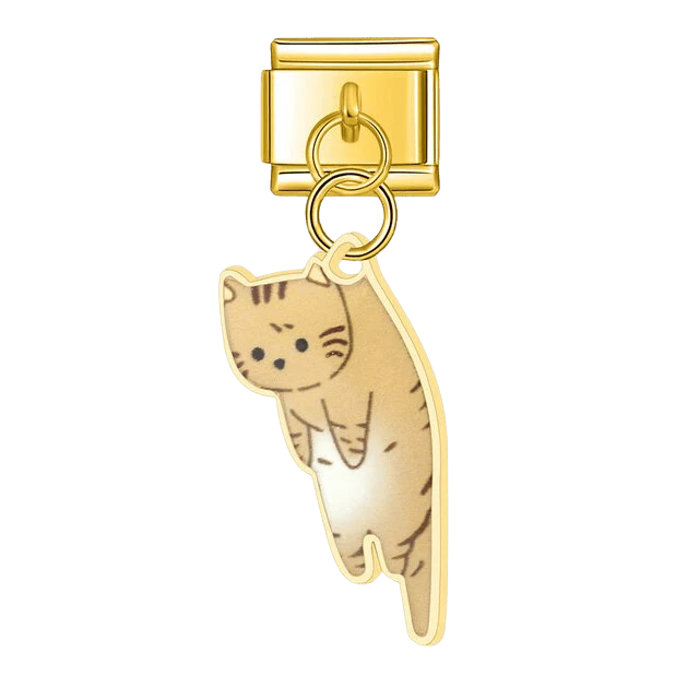 Dangling Tabby Kitten