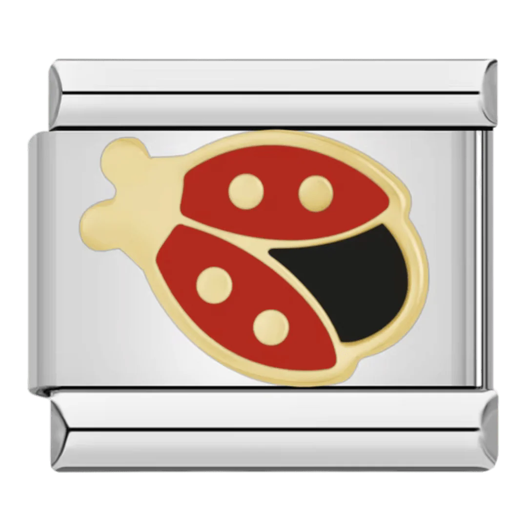 Lady Bug