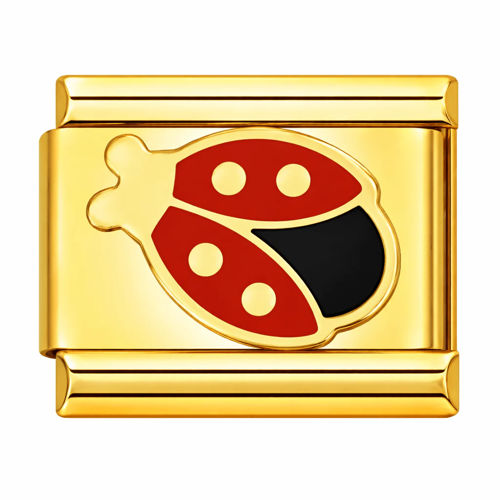 Lady Bug - Image 2