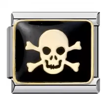 Skull with bones